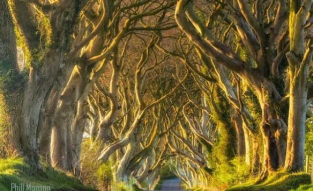 Suntana At Causeway Coast And Glens Villa Coleraine Buitenkant foto
